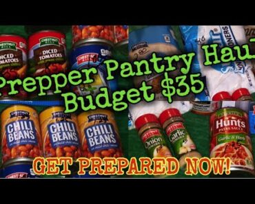 Prepper Pantry Budget $35 Haul/Garden update/Keep Prepping the World is getting CRAZY!