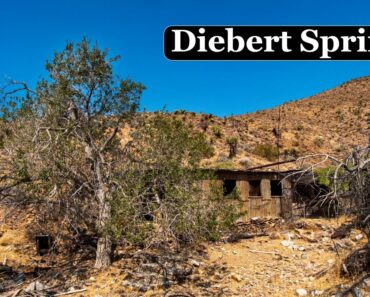 A Hermits Hidden Oasis in the Nevada Desert