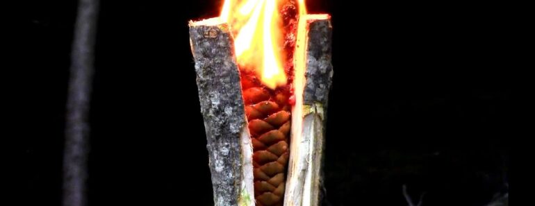 Survival- Emergency Tree Resin Torch