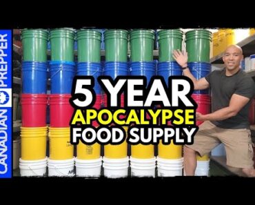 5 Year Survival Food Supply: $7,000 and 2.5 MILLION Calories