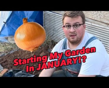 Getting a Head Start on my 2023 Survival Garden | How to start Onion Seeds