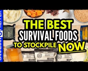 10 Best Survival Foods to Stockpile for Disaster