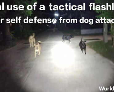 Wurkkos FC12 – Real use of tactical flashlight for self defense from dog attack!