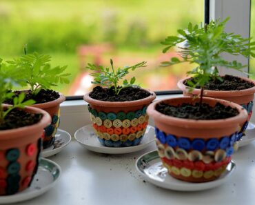 Grow Your Garden All Year Long With An Indoor Gardening