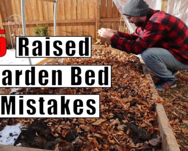 15 Raised Garden Bed Mistakes Every Gardener Should Avoid