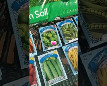Prepper's Dollar tree Seed & Garden haul:Time to start sowing & growing!!