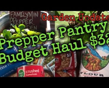 Prepper Pantry Budget Haul/Inflation & Shortages soaring/Garden Update/Stock Food & Water NOW!