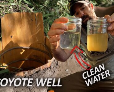 This actually WORKS! Primitive Water Filter Survival Hack!