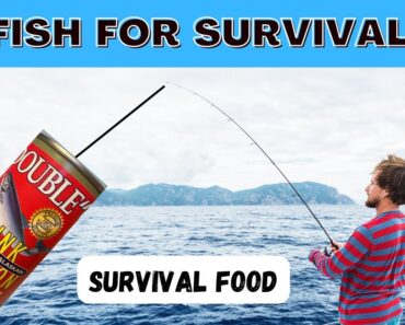 Survival Food Canned Fish For Your Prepper Pantry