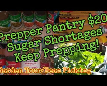Prepper Pantry $20 Budget Haul/garden tour/Harvesting beans for Preserving/Keep Prepping don't stop