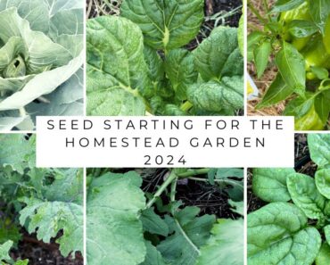 2024 Garden Seed Starting Prep| Switching Gears for a bit and Prepping for the 2024 Garden!