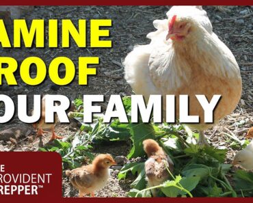 Famine-Proof Your Family! Get Tips From Marjory Wildcraft of The Grow Network