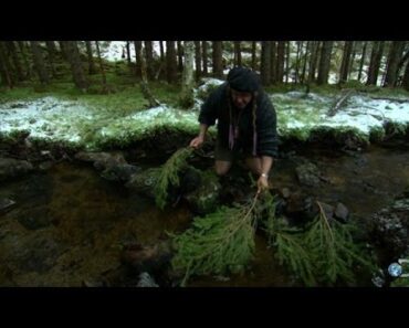 DIY Survival: A Simple Way to Catch Fish | Dual Survival