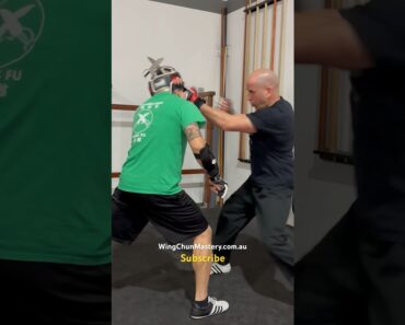Close Range Wing Chun Techniques #martialarts #selfdefense #fitness #shorts #kungfu #kickboxing