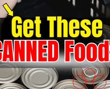 The 10 Canned Foods That Guarantee Your Survival in Any Situation   Stock Up NOW!