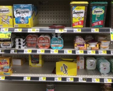 Dollar General store food tips and shortage update #prepper #shtf #foodshortage #farmernation