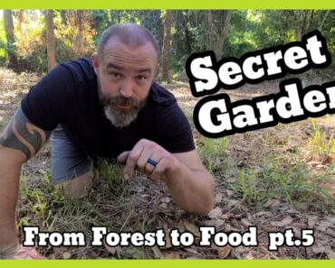 Planting A Secret Survival Garden In The Middle Of The Woods/ From Forest To Food Pt.5 #Homestead