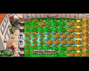 Plants VS Zombies Survival Endless BEST GLITCH/STRATEGY 2019