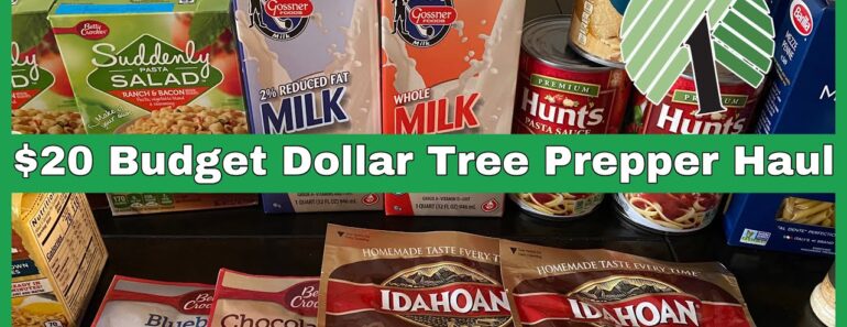 $20 BUDGET DOLLAR TREE PREPPER HAUL | PREPPER PANTRY | EMERGENCY FOOD PANTRY ADDITIONS