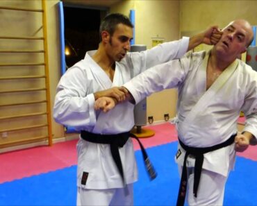 Karate Self-Defense #4 : Defense sur coup de poing direct