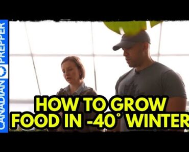 Grow Food in -40° in a Passive Solar Greenhouse