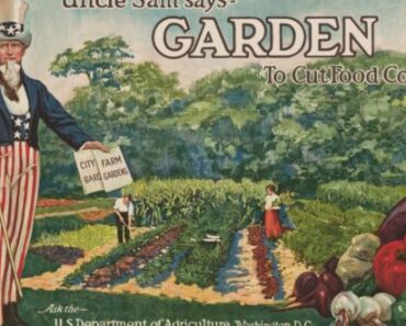 War Gardens of World War II And The American Legacy of Food Self-Sufficiency