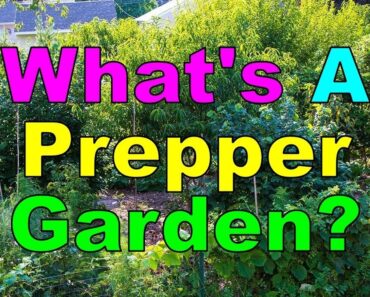 No. 310 – What’s A Prepper Garden